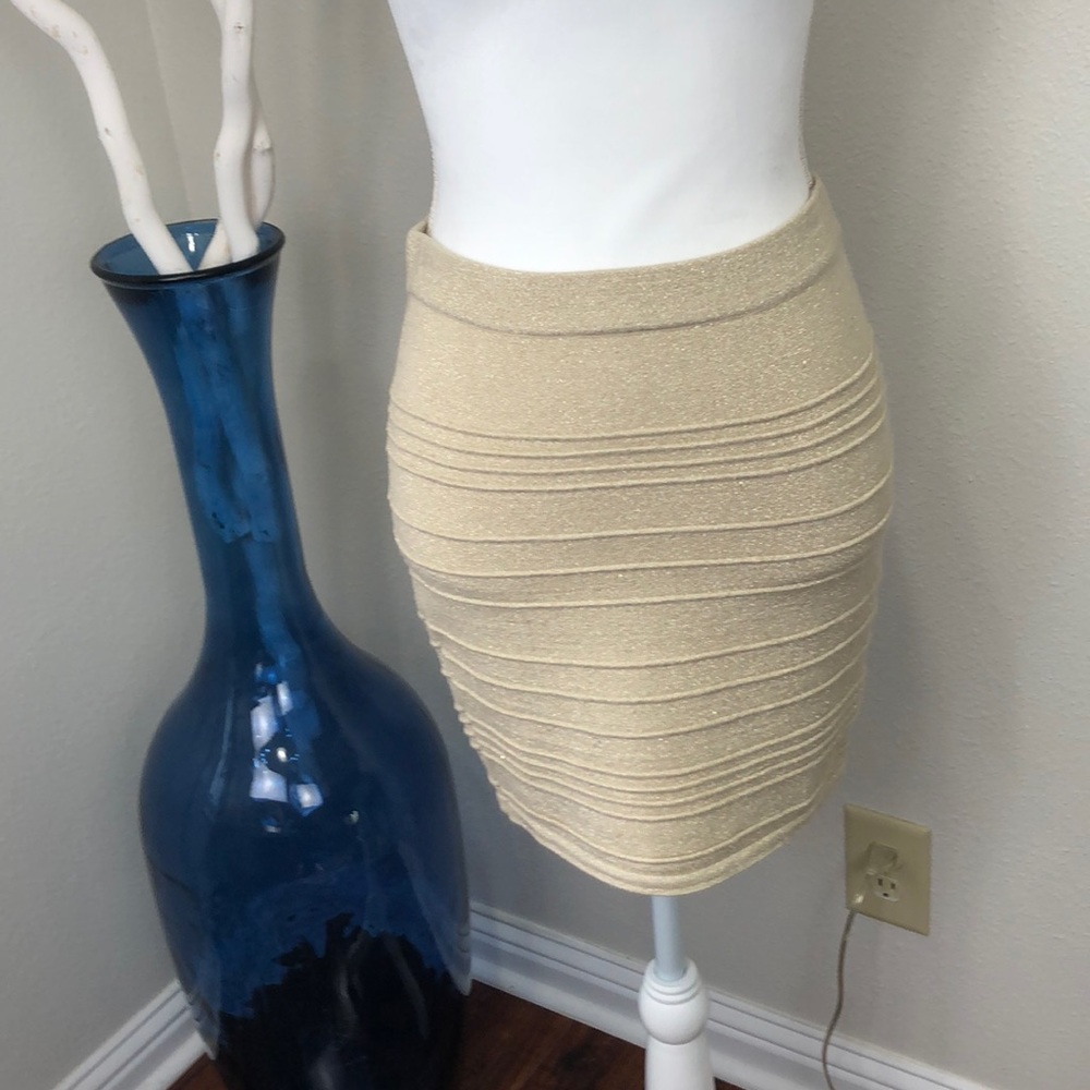 Charlotte Russe skirt